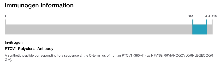 PTOV1 Polyclonal Antibody