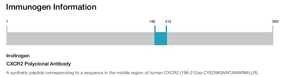 CXCR2 Polyclonal Antibody