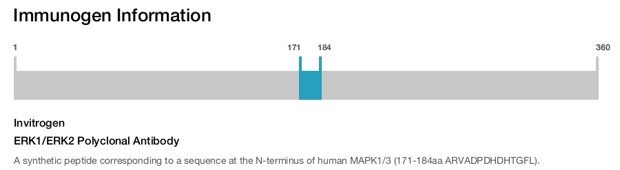 ERK1/ERK2 Polyclonal Antibody