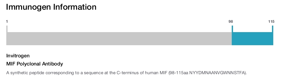 MIF Polyclonal Antibody