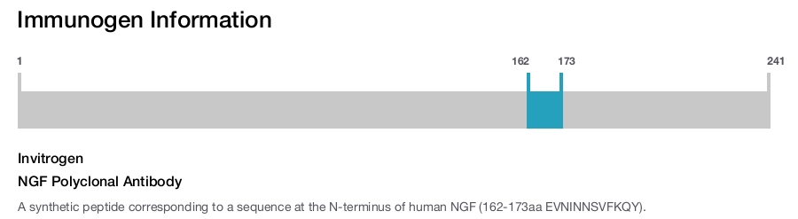 NGF Polyclonal Antibody