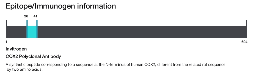 COX2 Polyclonal Antibody