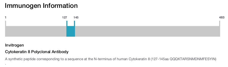 Cytokeratin 8 Polyclonal Antibody