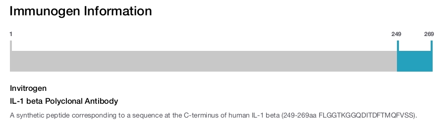 IL-1 beta Polyclonal Antibody
