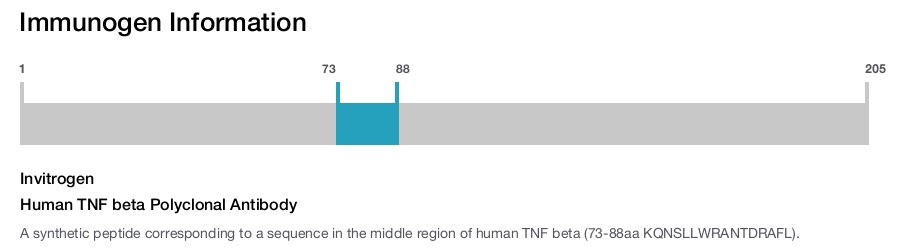 Human TNF beta Polyclonal Antibody