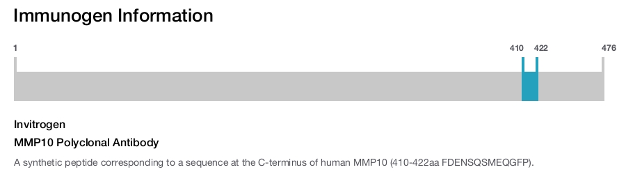 MMP10 Polyclonal Antibody
