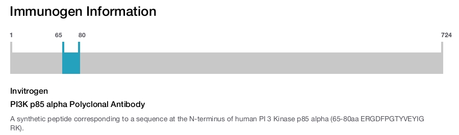 PI3K p85 alpha Polyclonal Antibody