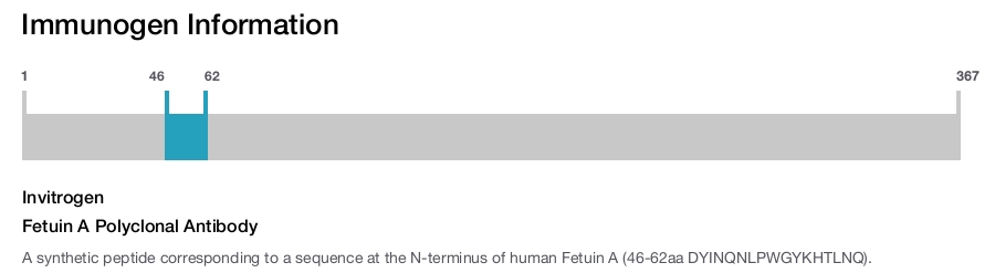 Fetuin A Polyclonal Antibody