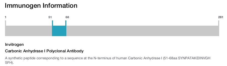 Carbonic Anhydrase I Polyclonal Antibody