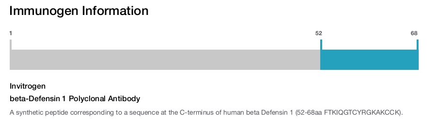 beta-Defensin 1 Polyclonal Antibody
