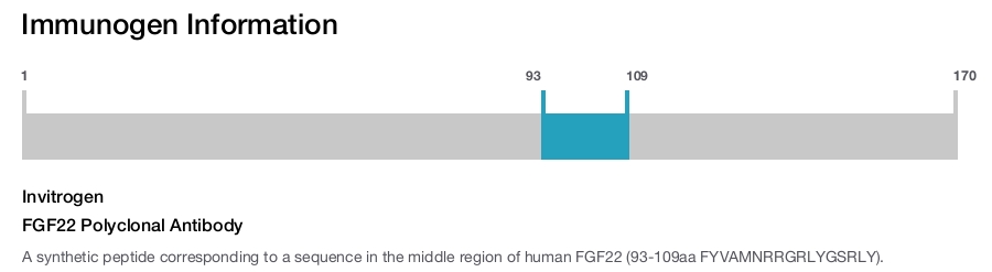 FGF22 Polyclonal Antibody