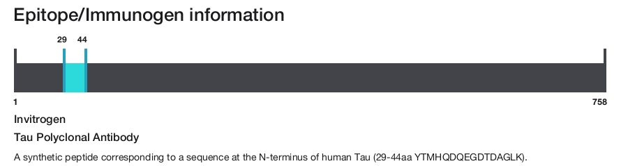 Tau Polyclonal Antibody
