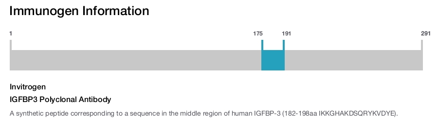 IGFBP3 Polyclonal Antibody