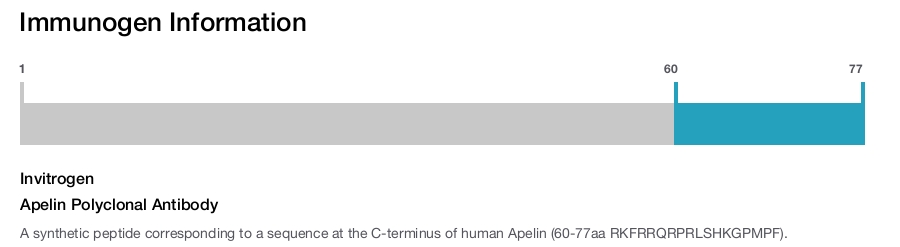 Apelin Polyclonal Antibody
