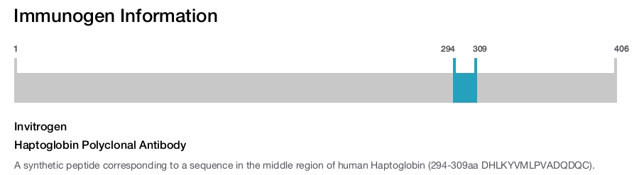 Haptoglobin Polyclonal Antibody