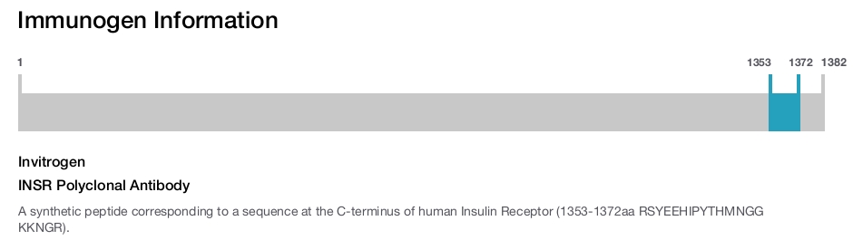 INSR Polyclonal Antibody