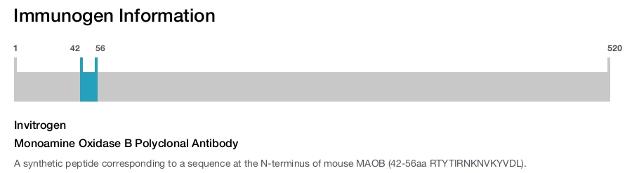 Monoamine Oxidase B Polyclonal Antibody