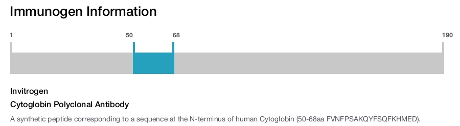 Cytoglobin Polyclonal Antibody