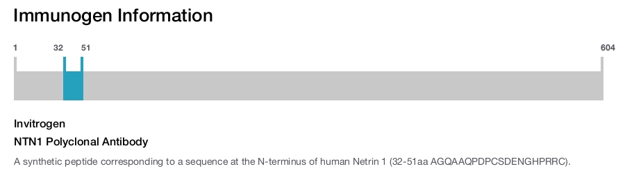 NTN1 Polyclonal Antibody
