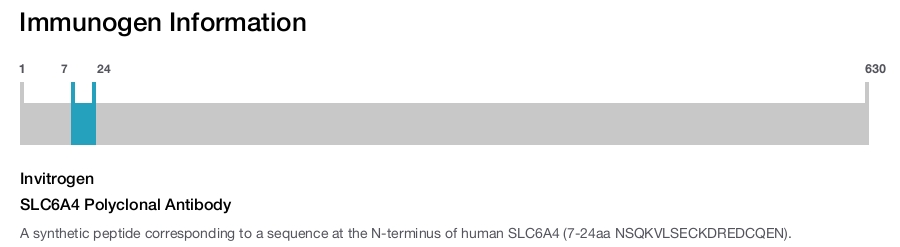 SLC6A4 Polyclonal Antibody