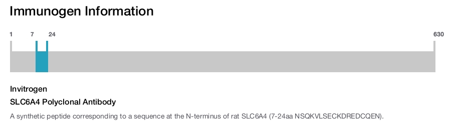SLC6A4 Polyclonal Antibody
