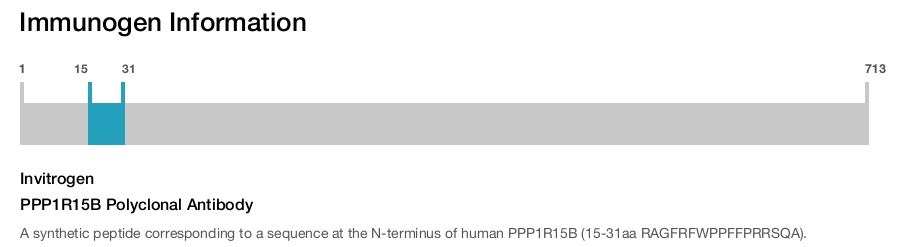 PPP1R15B Polyclonal Antibody