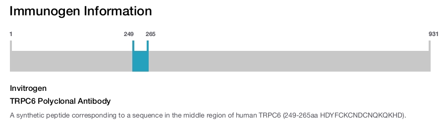TRPC6 Polyclonal Antibody