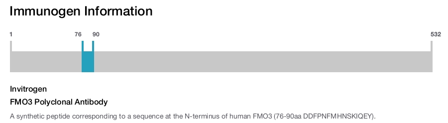 FMO3 Polyclonal Antibody
