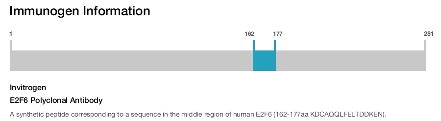 E2F6 Polyclonal Antibody