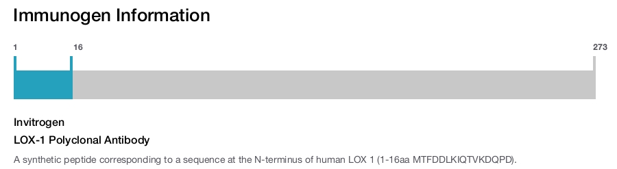 LOX-1 Polyclonal Antibody