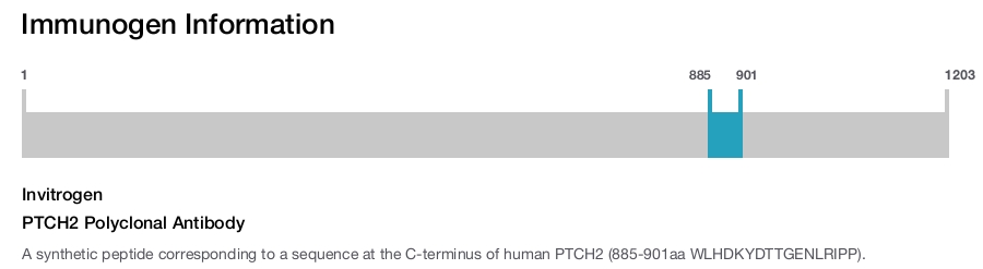 PTCH2 Polyclonal Antibody