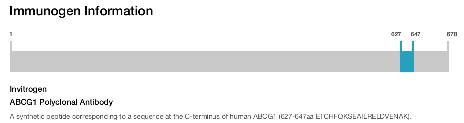 ABCG1 Polyclonal Antibody