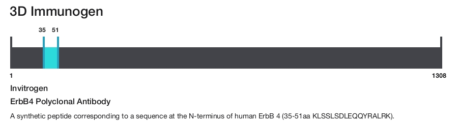 ErbB4 Polyclonal Antibody