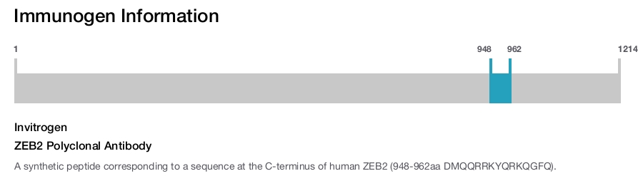 ZEB2 Polyclonal Antibody