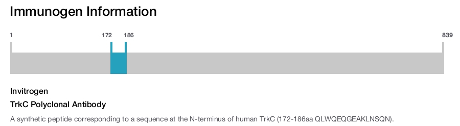 TrkC Polyclonal Antibody