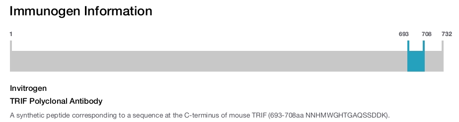 TRIF Polyclonal Antibody