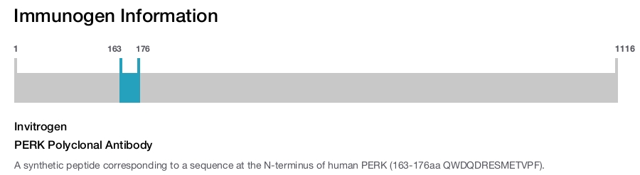 PERK Polyclonal Antibody