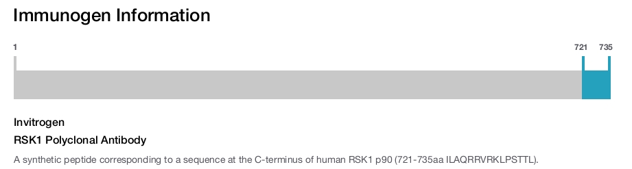 RSK1 Polyclonal Antibody