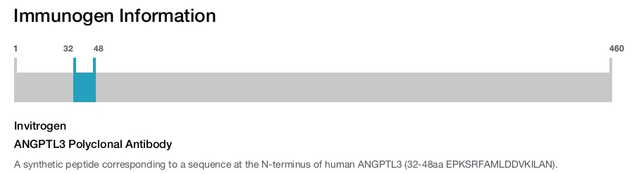 ANGPTL3 Polyclonal Antibody