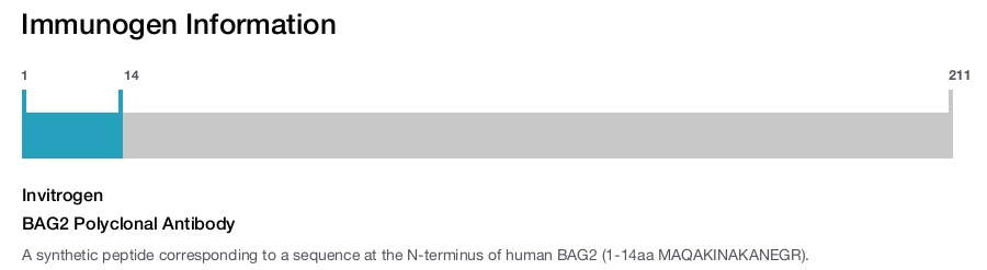 BAG2 Polyclonal Antibody