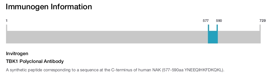 TBK1 Polyclonal Antibody