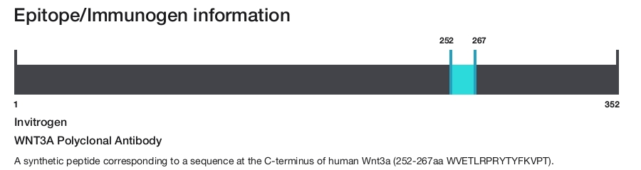 WNT3A Polyclonal Antibody