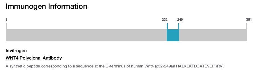 WNT4 Polyclonal Antibody