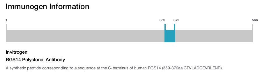 RGS14 Polyclonal Antibody