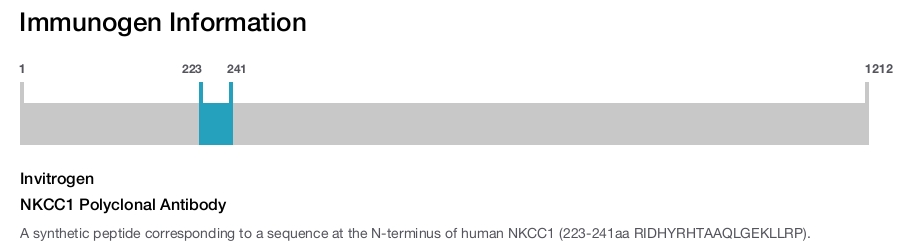 NKCC1 Polyclonal Antibody