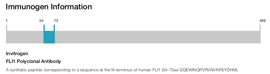 FLI1 Polyclonal Antibody