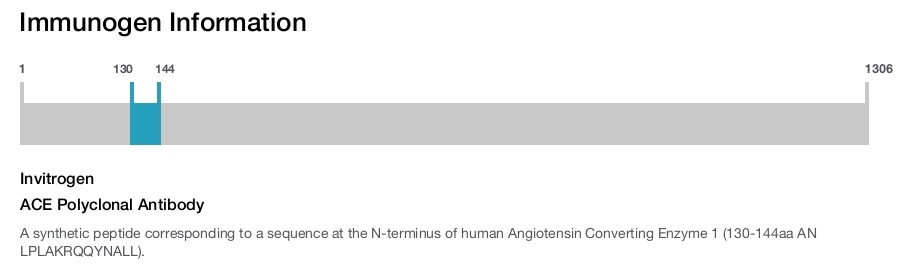 ACE Polyclonal Antibody