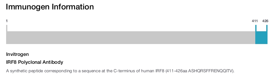 IRF8 Polyclonal Antibody