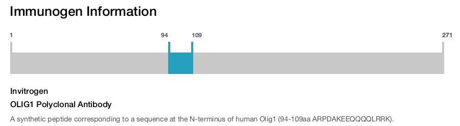 OLIG1 Polyclonal Antibody