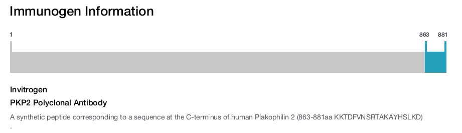 PKP2 Polyclonal Antibody
